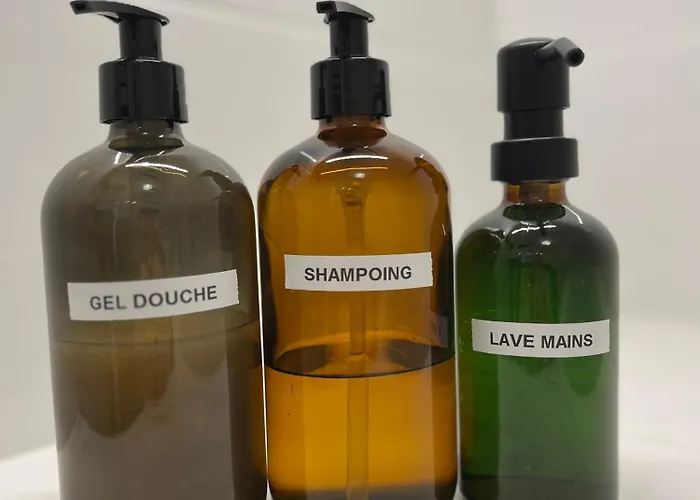 Apartment Petit Cocon Paisible